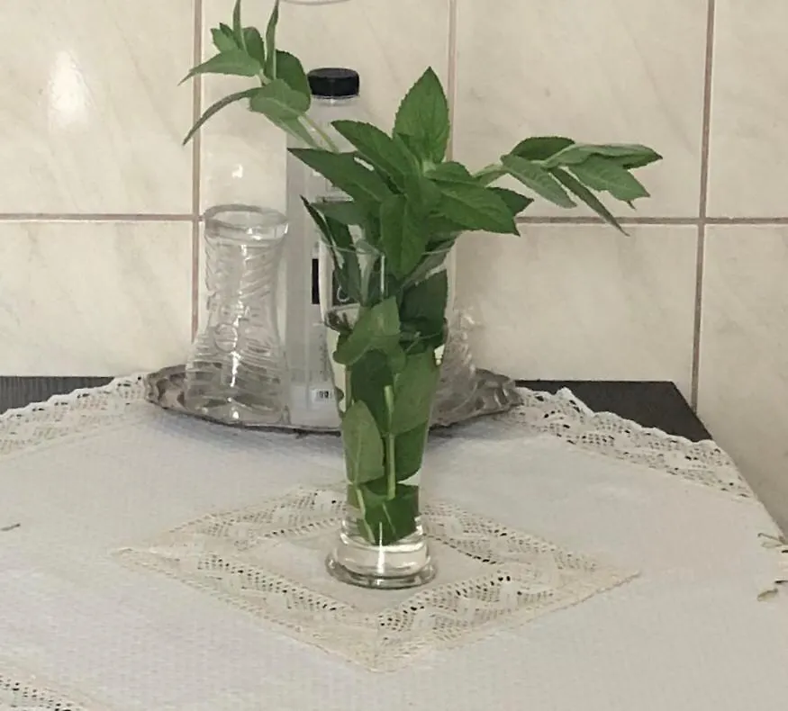 부쿠레슈티 Strada Nerva Traian 11 Garsoniera 아파트 루마니아